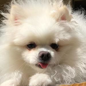 Meet your Posher, Carrie